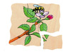 Lagenpuzzel - Beleduc - de appel - hout - per stuk