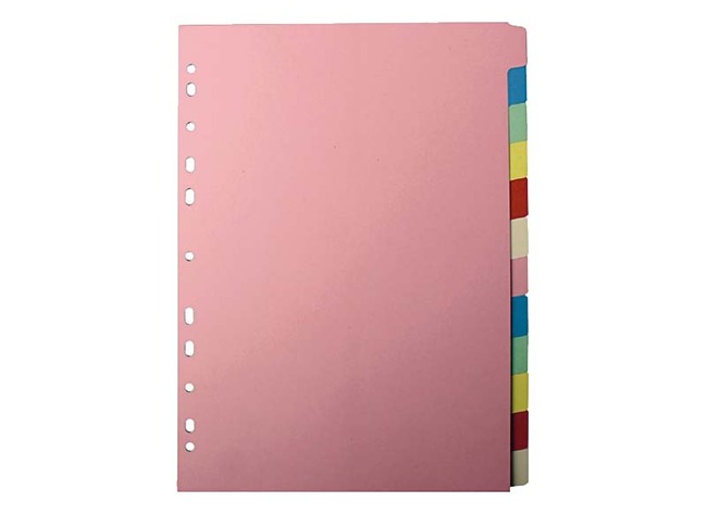 Tussenbladen - Esselte - tabbladen - A4 - karton - 12-delig - per set