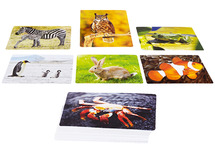 Taalkaarten - fotobox - dieren - fotokaarten - assortiment van 50