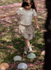 Bewegingsmateriaal - Find that Hippo - sensory stones - balanceer stenen - zonsopgang - set van 4