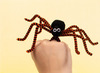 Chenilledraad - dierenmotief - 30 cm lang - set van 50 assorti