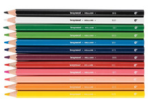 Potloden - kleurpotloden - Bruynzeel Mega - zeshoekig - dik - etui - set van 12