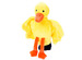 Eend