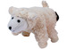 Schaap