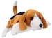 Hond