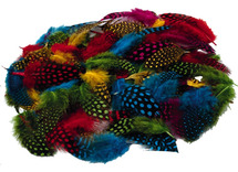 Pluimen - fantasieveren - decoratie - set van 10 g assorti