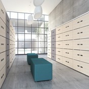 KAST - HOUT - LOCKER - 1 RIJ