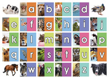 Beloningsstickers - De Stulp - set van 600 - het dieren abc