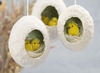 Kuikens - pastelkleuren - decoratie - set van 12