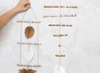 Stokken - bamboe - decoratie - set van 30