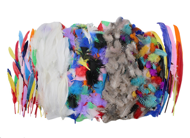 Pluimen - veren - budget - decoratie - set van 1000 assorti