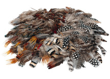 Decoratie - pluimen - Afrikaanse veren - assortiment van 144
