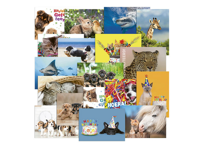 Beloningskaarten - miniposters - dieren - set van 18