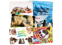 Kaarten - miniposters - pakket - dieren - set van 18 assorti