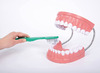 Ontdekkingsmateriaal - tanden poetsen doe je zo - per stuk