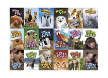Stickers - dieren allerlei - met teksten - 36 motieven - set van 720 assorti