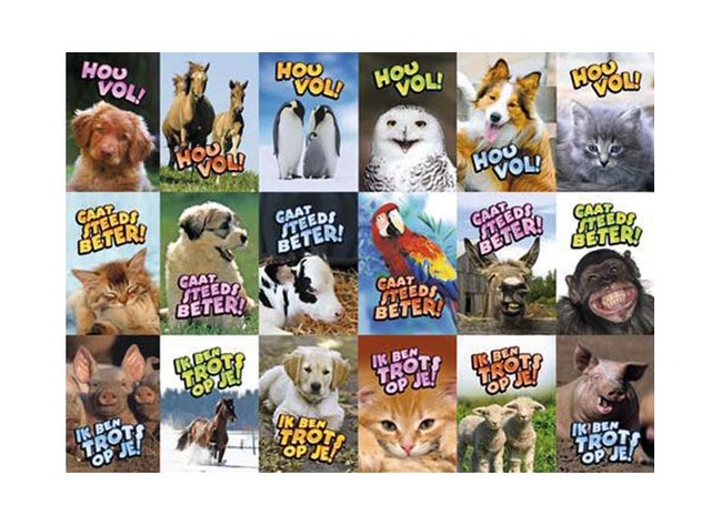 Stickers - dieren allerlei - met teksten - 36 motieven - set van 720 assorti