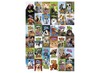 Stickers - dieren allerlei - met teksten - 36 motieven - set van 720 assorti
