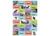 Stickers - motivatie om te schrijven - met teksten - 18 motieven - set van 360 assorti