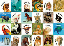 Stickers - motivatiedieren - met teksten - 35 motieven - set van 700 assorti
