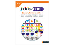 Spel - kleur en vorm - Nathan ColorCode - kleur,vorm en grootte - per set