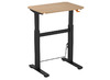 TAFEL - HOOGTEVERSTELBAAR MET GASVEER - 50 X 70 CM