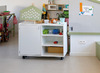 KAST BASIC - MET 4 PLANKEN EN 1 DEUR LINKS