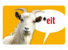Taalspel - Dubbelzes - Rijmelarij - rijmen met woorden - kaartenspel - woordenketting - per spel