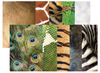 Knutselpapier - natuurbeelden - dierenhuiden - set van 40 assorti