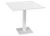 TAFEL - CENTRALE VOET - VIERKANT - 60 X 60 CM