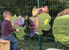 Spiegels - blaadjes - TTS - kunststof - set van 3 assorti
