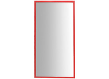 Spiegel - eenvoudig - 120 x 50 cm - per stuk