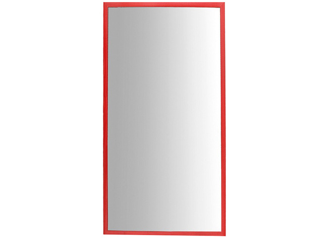 Spiegel - eenvoudig - 120 x 50 cm - per stuk