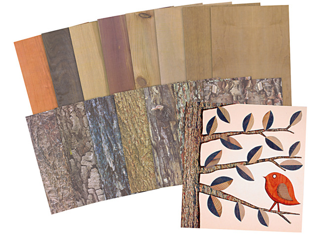 NATUURPAPIER BOMEN - SET VAN 32