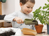 Zandscheppen - TreeNside - gekleurd - bioplastic - set van 5 assorti