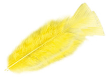 Decoratie - pluimen - veren - geel - 6 tot 8 cm - set van 50 g assorti