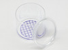 Vergrootglazen - x2 vergroting - 5,5 cm - met potje - met opbergdoos - set van 6