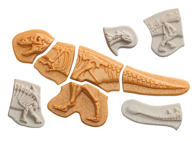 Ontdekkingsmateriaal - Yellow Door Dig & Discover Ankylosaurus & Tyrannosaurus Rex - dino's - fossielen - per set