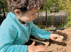 Ontdekkingsmateriaal - Yellow Door Dig & Discover Ankylosaurus & Tyrannosaurus Rex - dino's - fossielen - per set