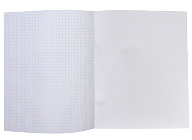 Schriften - Aurora - WO - A4 - geruit - 5 mm - per stuk