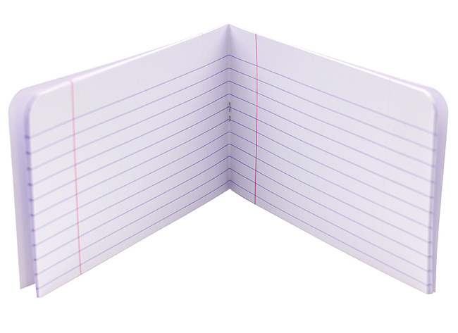 DEMI-CAHIERS 24 FEUILLETS - PAR 10