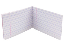 Schriften - half schriftje - 10,5 x 21 cm - 24 bladen - 48 bladzijden - 3 lijnen - set van 10