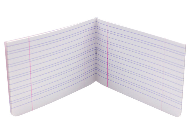 Schriften - half schriftje - 10,5 x 21 cm - 24 bladen - 48 bladzijden - 3 lijnen - set van 10