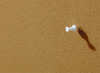 BORD - PRIKBORD - FLOAT - 90 X 120 CM