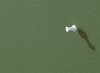 Bord - Prikbord - Float - 120 X 200 Cm