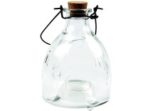 Wespenvanger - glas - set van 10