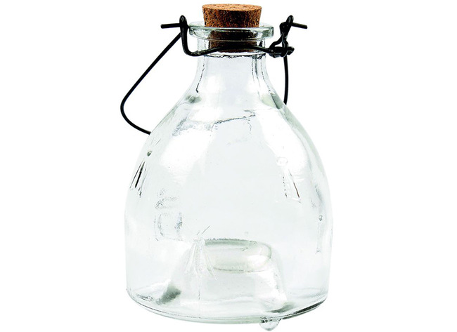 Wespenvanger - glas - set van 10