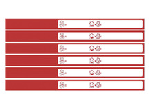 Polsbandjes - Apli - identificatiebandjes - set van 32