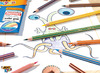 Potloden - kleurpotloden - BIC Kids Tropicolors - zeshoekig - etui - set van 12 assorti
