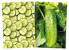 CREA-PAPIER - NATUUR EN FRUIT - SET VAN 40